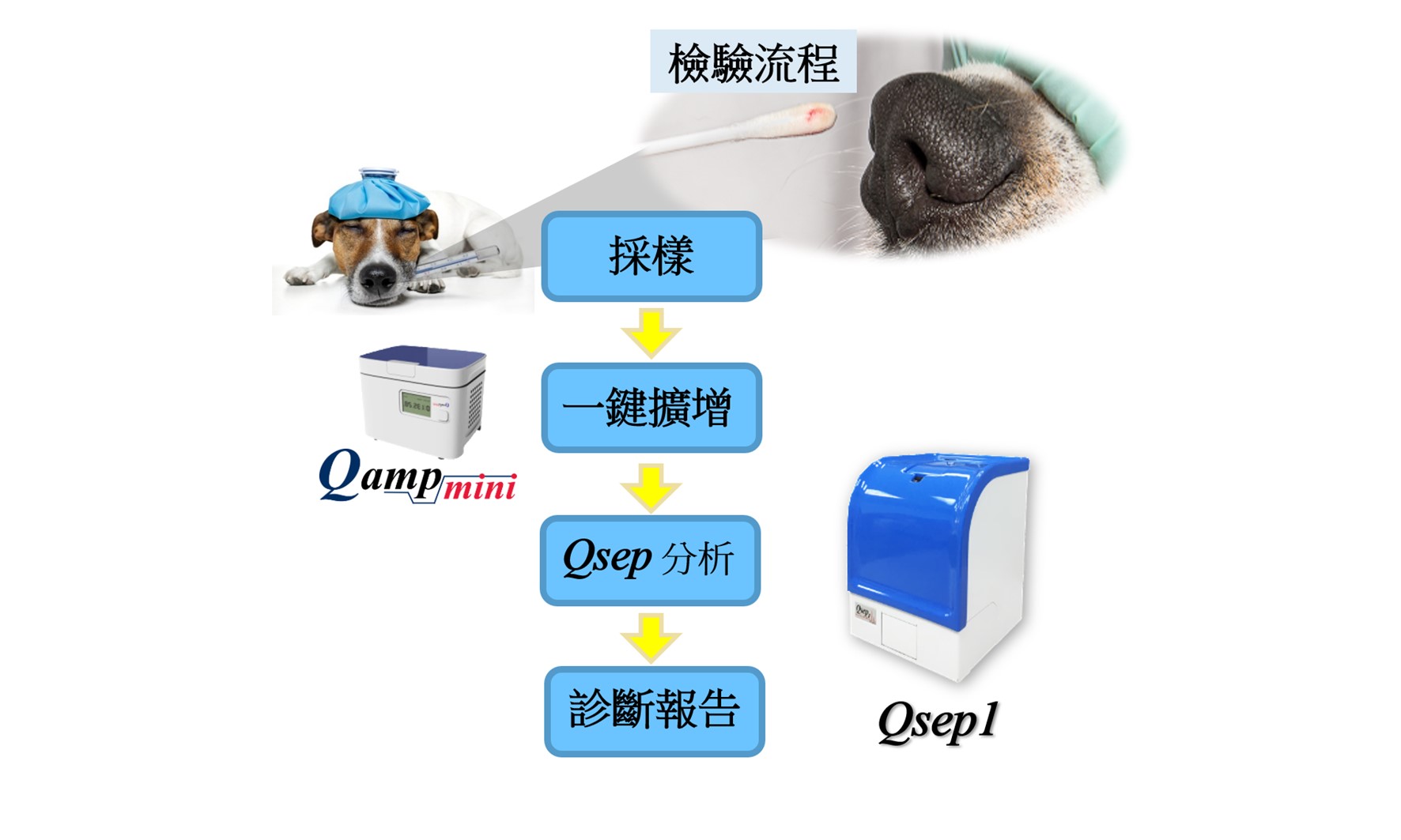 光鼎生科攜手寵物醫學中心 開發出多重PCR寵物檢測試劑